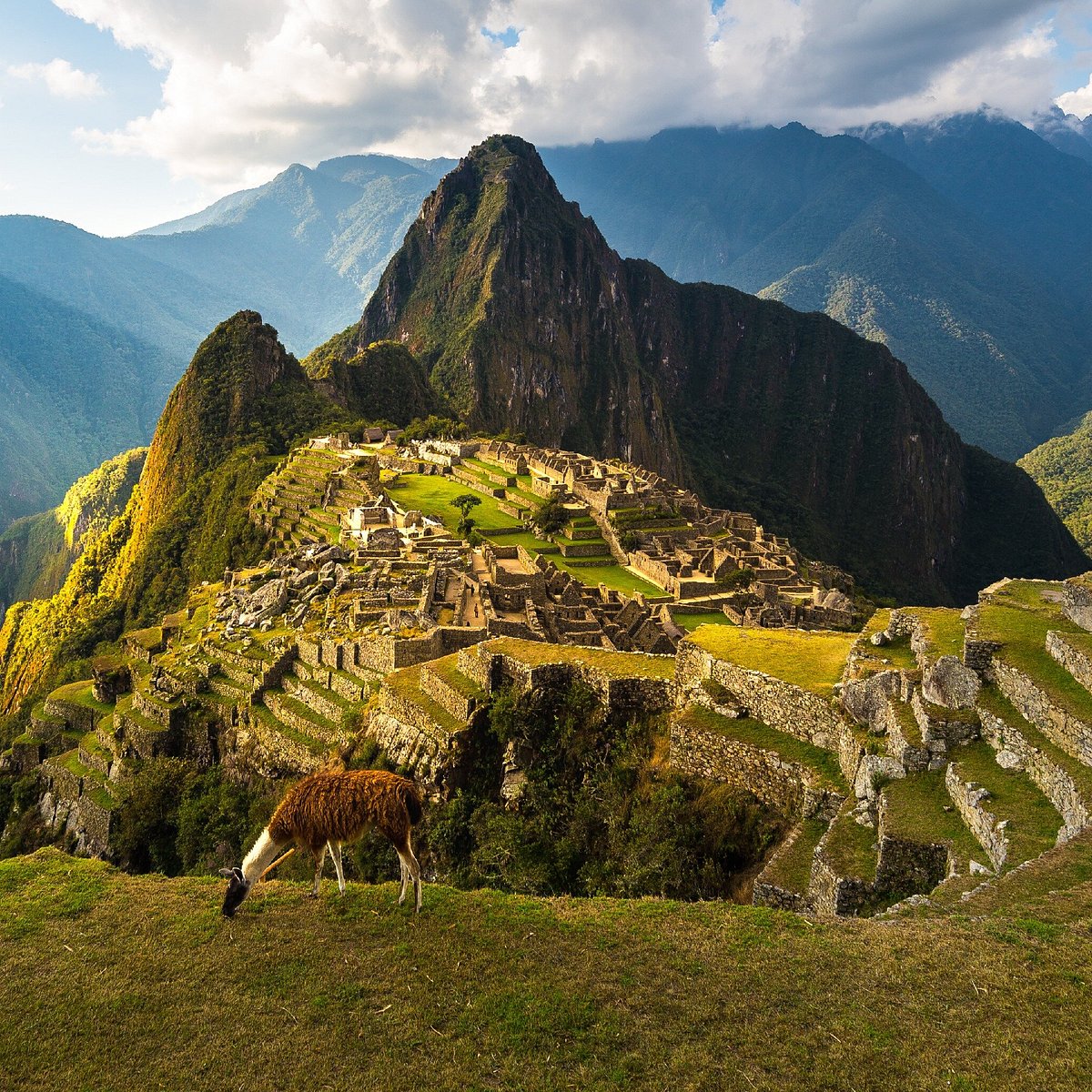 Peruvian Time
